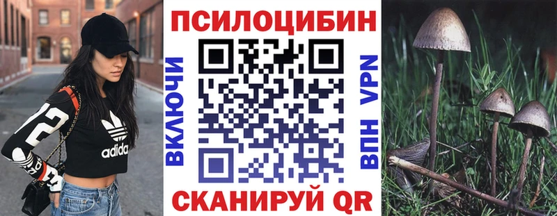 закладки  blacksprut онион  Псилоцибиновые грибы GOLDEN TEACHER  Старая Купавна 